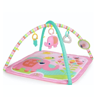 Bright Starts Gimnasio Fancy Flowers