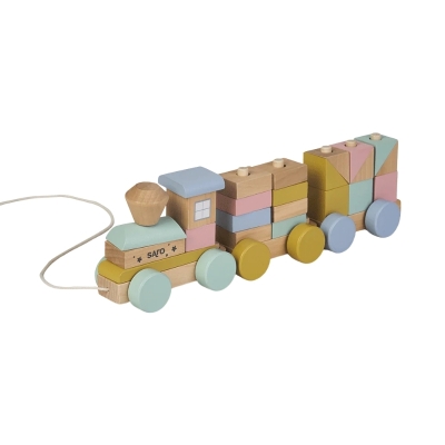 Tren de Madera Multicolor